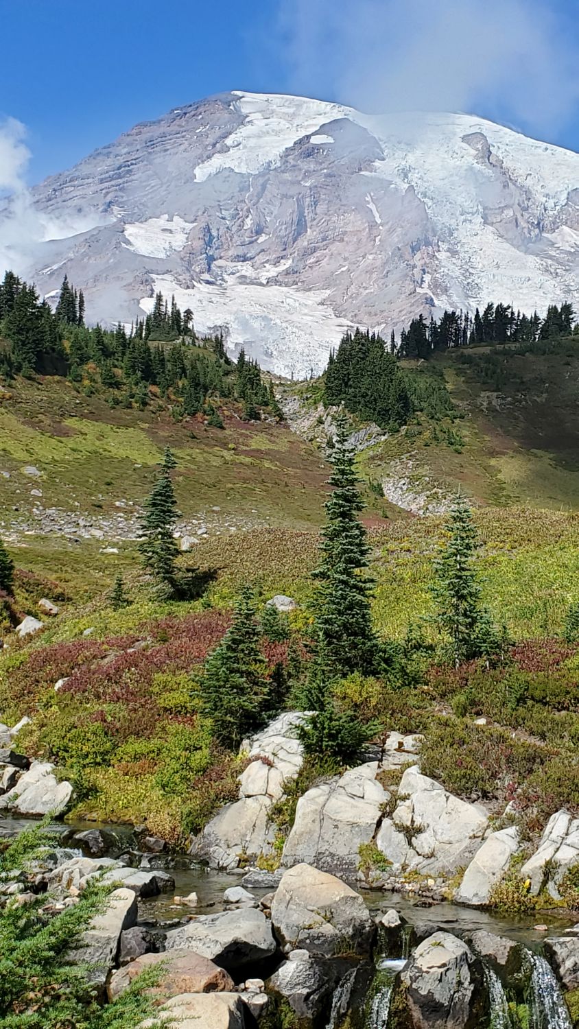 Mount Rainier NP 